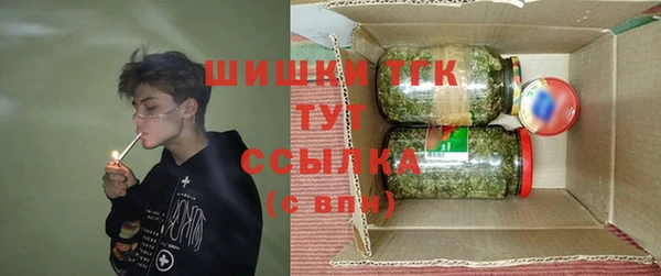 стафф Алексин