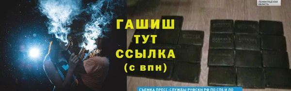 стафф Алексин