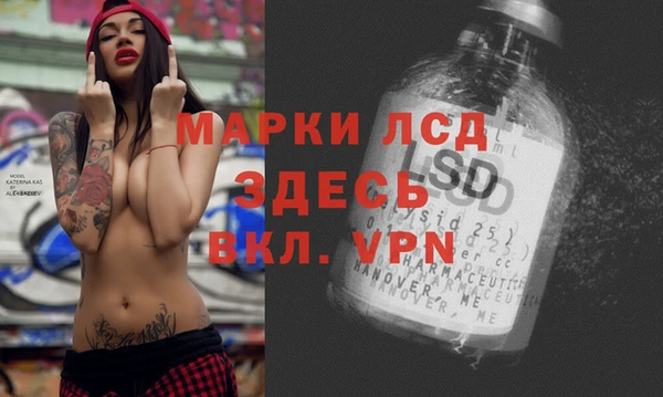 стафф Алексин