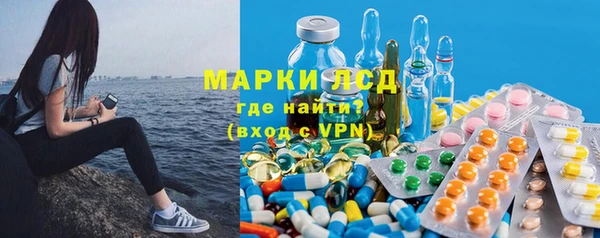 стафф Алексин