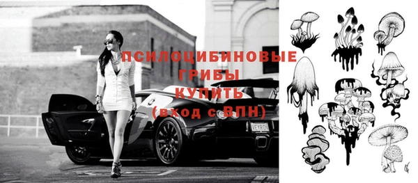 соль курить ск Алзамай